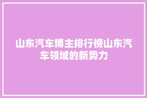 山东汽车博主排行榜山东汽车领域的新势力