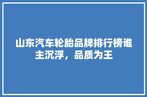 山东汽车轮胎品牌排行榜谁主沉浮，品质为王