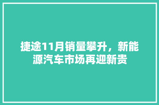 捷途11月销量攀升，新能源汽车市场再迎新贵