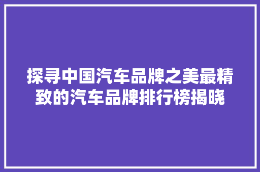 探寻中国汽车品牌之美最精致的汽车品牌排行榜揭晓