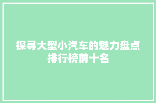 探寻大型小汽车的魅力盘点排行榜前十名