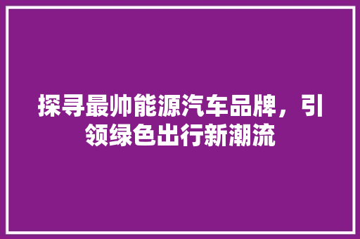 探寻最帅能源汽车品牌，引领绿色出行新潮流