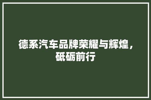 德系汽车品牌荣耀与辉煌，砥砺前行