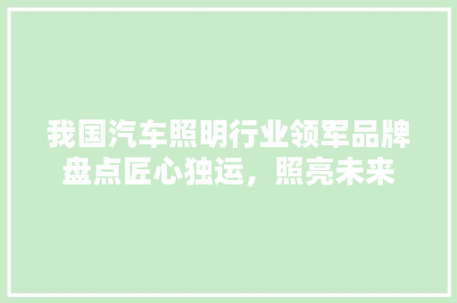 我国汽车照明行业领军品牌盘点匠心独运，照亮未来