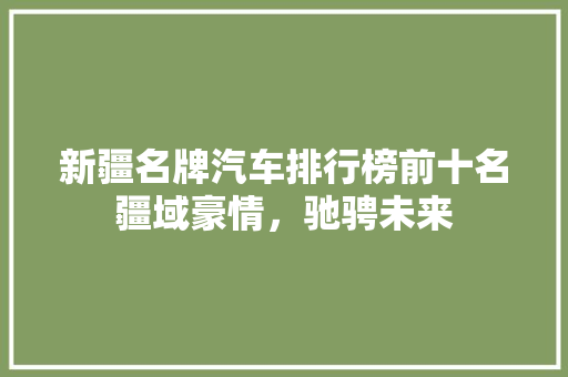 新疆名牌汽车排行榜前十名疆域豪情，驰骋未来