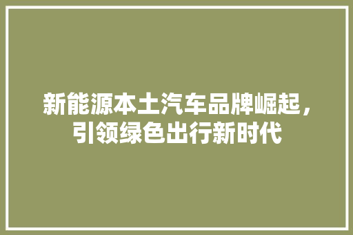 新能源本土汽车品牌崛起，引领绿色出行新时代