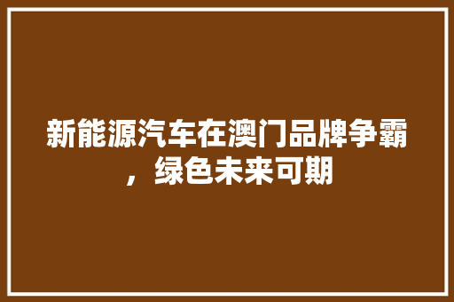 新能源汽车在澳门品牌争霸，绿色未来可期