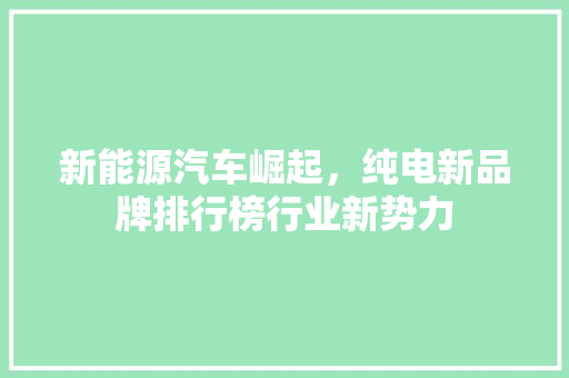 新能源汽车崛起，纯电新品牌排行榜行业新势力