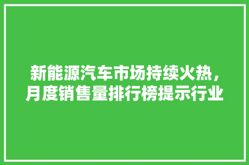 新能源汽车市场持续火热，月度销售量排行榜提示行业发展趋势