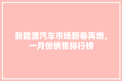新能源汽车市场新春再燃，一月份销售排行榜