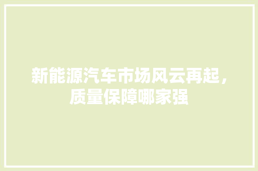 新能源汽车市场风云再起，质量保障哪家强