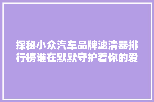 探秘小众汽车品牌滤清器排行榜谁在默默守护着你的爱车