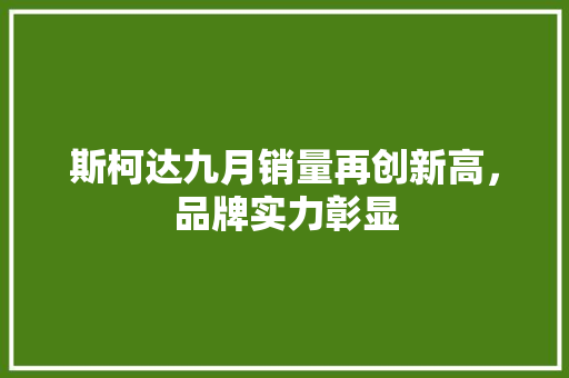 斯柯达九月销量再创新高，品牌实力彰显