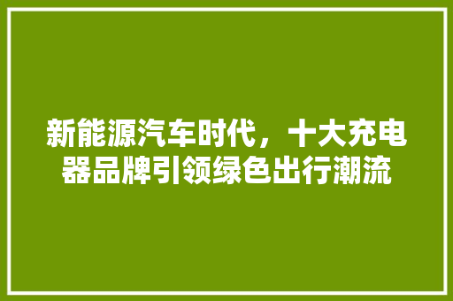新能源汽车时代，十大充电器品牌引领绿色出行潮流
