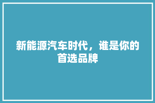 新能源汽车时代，谁是你的首选品牌