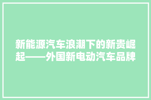 新能源汽车浪潮下的新贵崛起——外国新电动汽车品牌排行榜