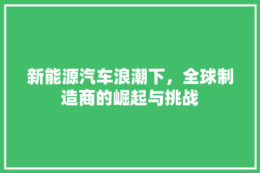 新能源汽车浪潮下，全球制造商的崛起与挑战