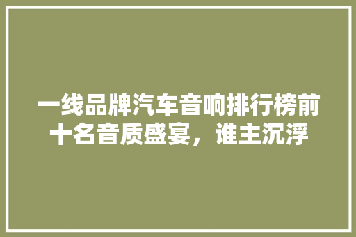 一线品牌汽车音响排行榜前十名音质盛宴，谁主沉浮