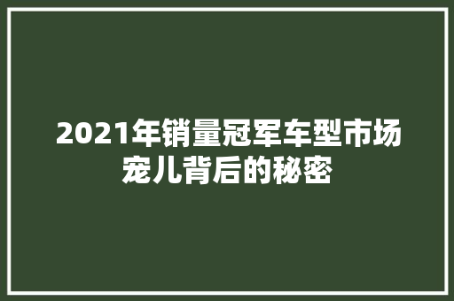 2021年销量冠军车型市场宠儿背后的秘密