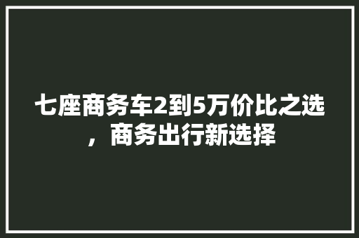 七座商务车2到5万价比之选，商务出行新选择