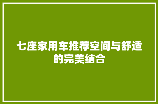 七座家用车推荐空间与舒适的完美结合