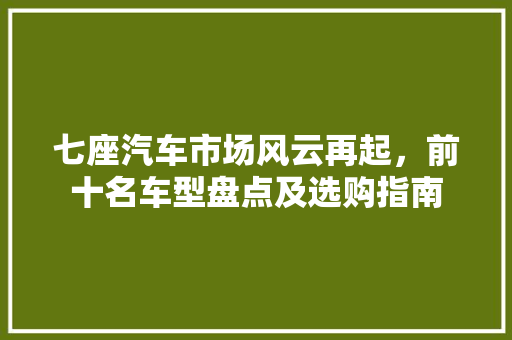 七座汽车市场风云再起，前十名车型盘点及选购指南